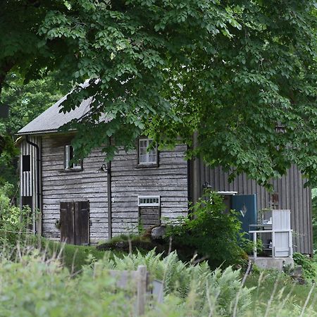 Henneviken BnB Ed Eksteriør billede