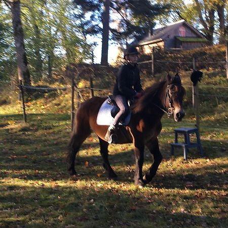 Henneviken BnB Ed Eksteriør billede