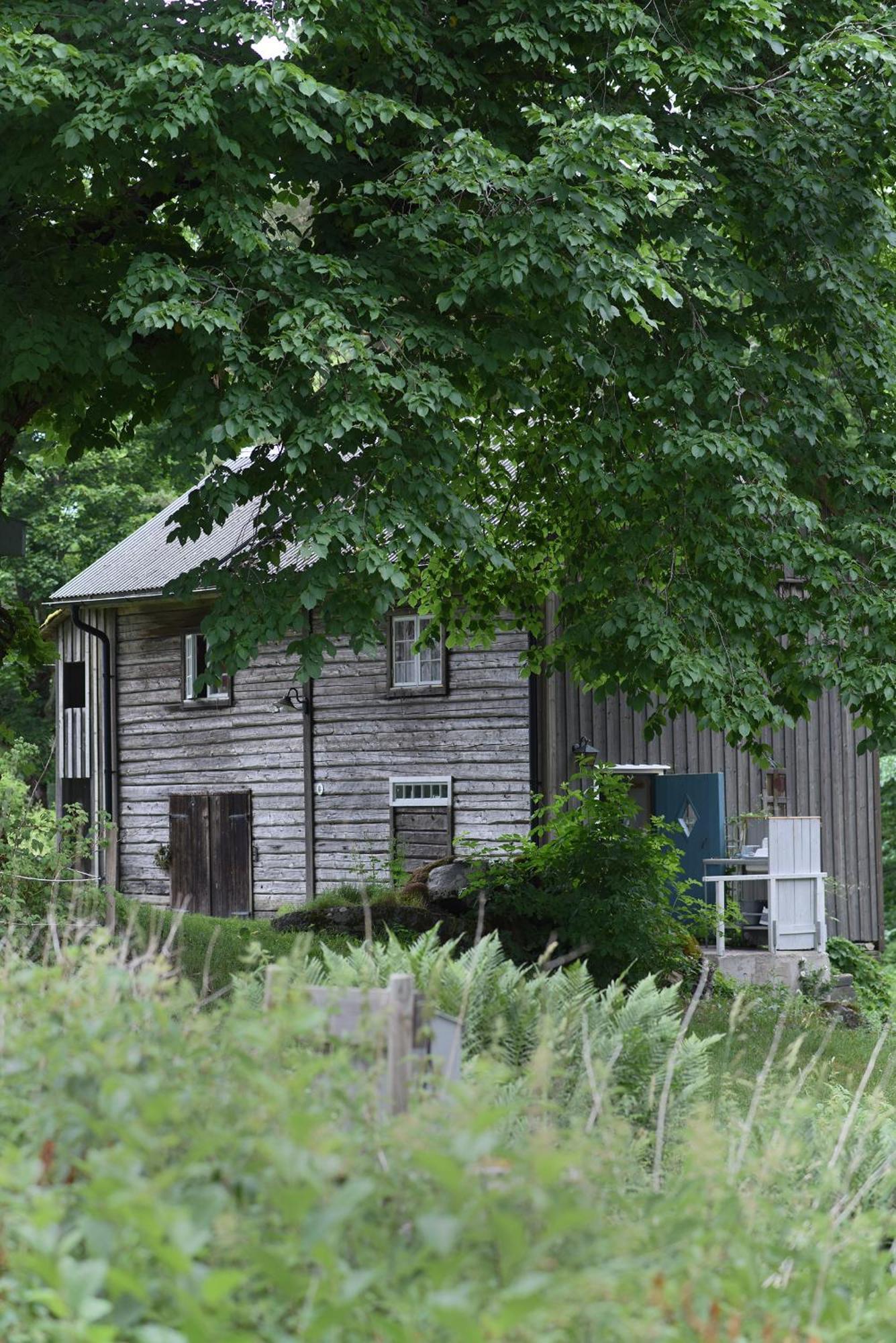 Henneviken BnB Ed Eksteriør billede
